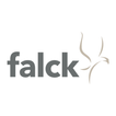 Falck 图标