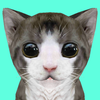 Cat Simulator Online icon