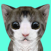 ”Cat Simulator Online