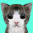 Cat Simulator Online