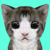 Cat Simulator Online icône
