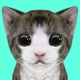 Cat Simulator Online