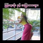 ျမန္မာ့အိုး ႏွင့္ အျပာကားမ်ား-icoon