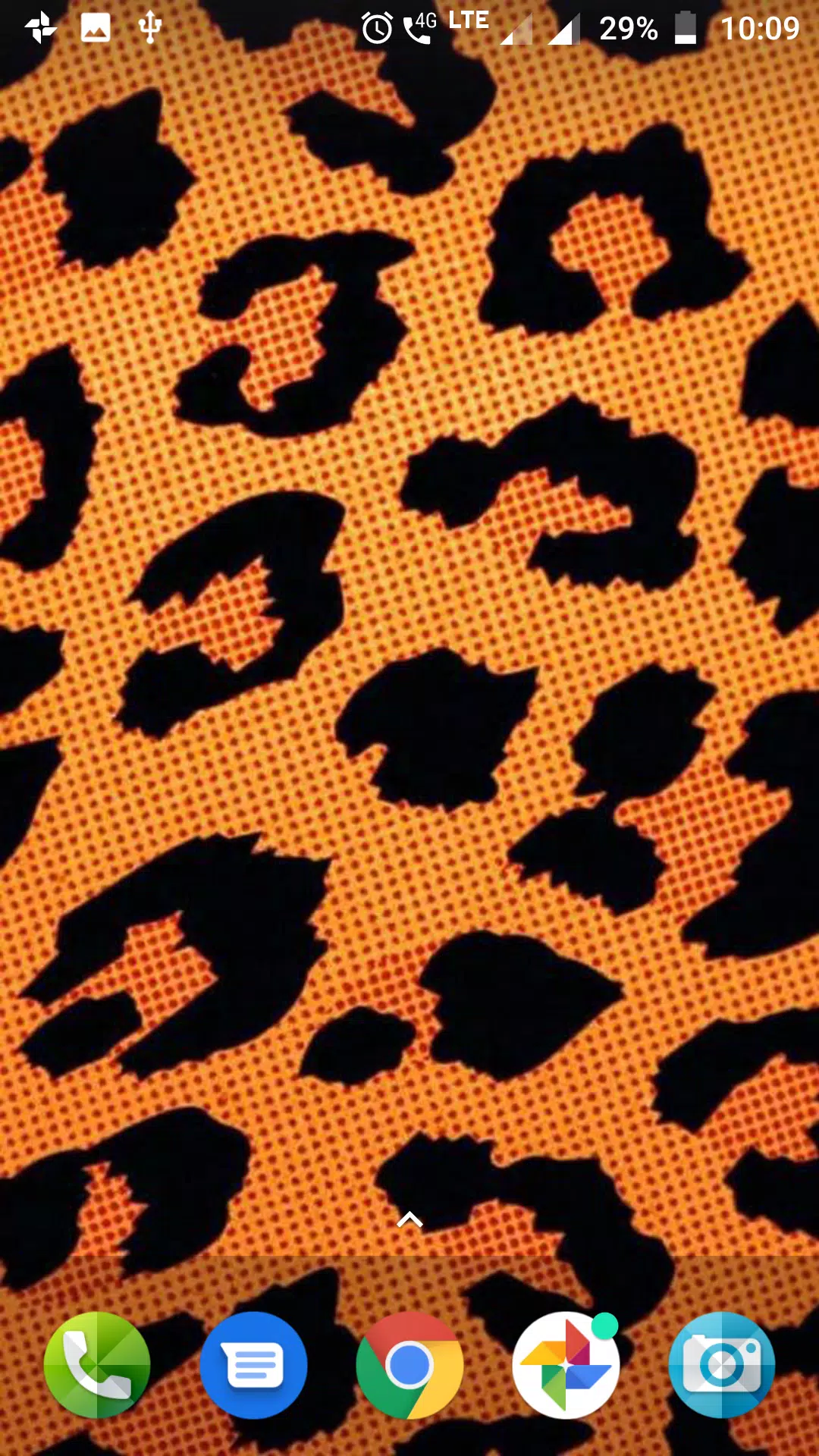 Colorful Leopard Print Wallpaper Hd