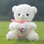 Cute Teddy Bear Wallpaper biểu tượng