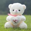 ”Cute Teddy Bear Wallpaper