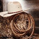 Country Wallpapers and Backgro APK