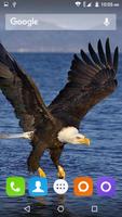 Eagle Wallpapers Hd स्क्रीनशॉट 3