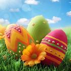 Easter Egg Wallpaper 아이콘