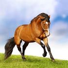 Horse Hd Wallpaper আইকন