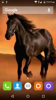 Horse Hd Wallpaper تصوير الشاشة 2