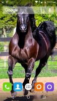 Horse Hd Wallpaper 포스터