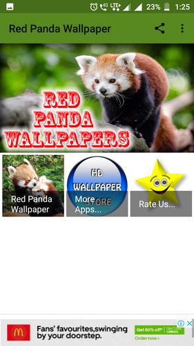 Red Panda Wallpaper For Android Apk Download,Black Plain Background