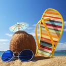 Summer Wallpapers and Backgrou APK