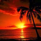 Sunsets Wallpapers 图标