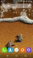 Turtle Wallpapers Hd poster