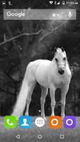 White Horse Hd Wallpapers 截图 2