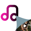 Audio Manager: Hide Media File 图标
