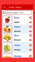 Turkish Word Book screenshot 2