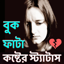 বুক ফাটা কষ্টের স্ট্যাটাস APK