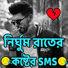 না পাওয়ার কষ্টের  স্ট্যাটাস biểu tượng