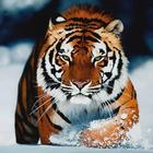 Tigers HD Wallpapers आइकन