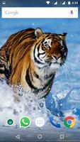 Tigers HD Wallpapers स्क्रीनशॉट 3