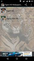 Tigers HD Wallpapers الملصق