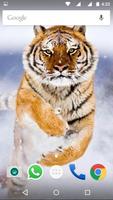 Tigers HD Wallpapers स्क्रीनशॉट 1
