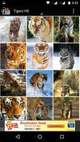 Tigers HD Wallpapers تصوير الشاشة 2