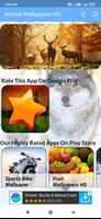 Animal Wallpapers HD poster