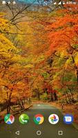 Autumn Wallpaper HD screenshot 3