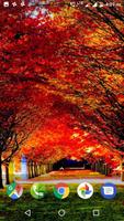 Autumn Wallpaper HD Affiche