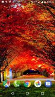 Autumn Wallpaper HD poster
