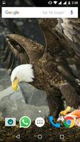 Bald Eagle HD Wallpaper स्क्रीनशॉट 3