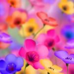 Beautiful Flowers HD Wallpaper icon
