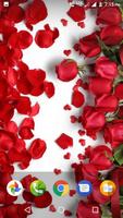 Beautiful Flowers HD Wallpaper Cartaz