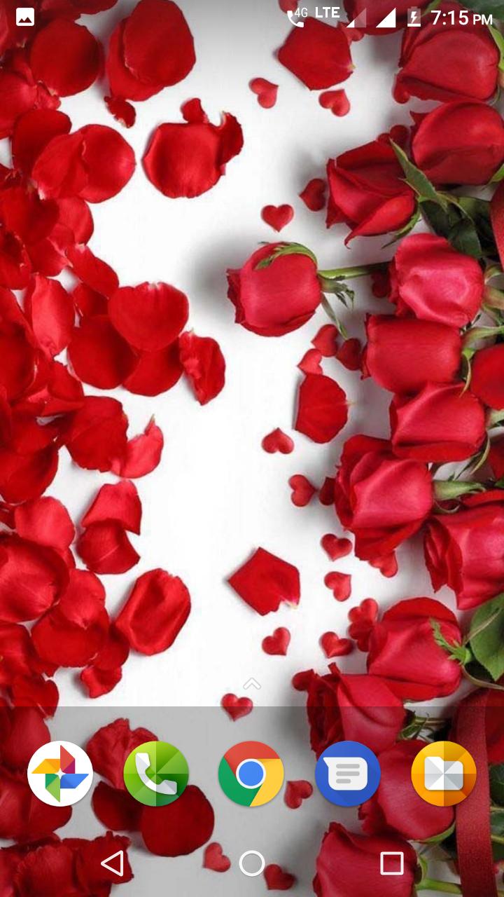 Beautiful Flowers Hd Wallpaper For Android Apk Download