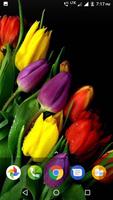 Beautiful Flowers HD Wallpaper imagem de tela 3