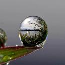 Macro Wallpaper HD APK