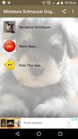 Miniature Schnauzer Dog HD پوسٹر