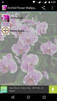 Orchid Flowers HD Wallpapers Cartaz