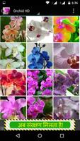 Orchid Flowers HD Wallpapers capture d'écran 2