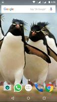 Penguin Wallpaper HD syot layar 1