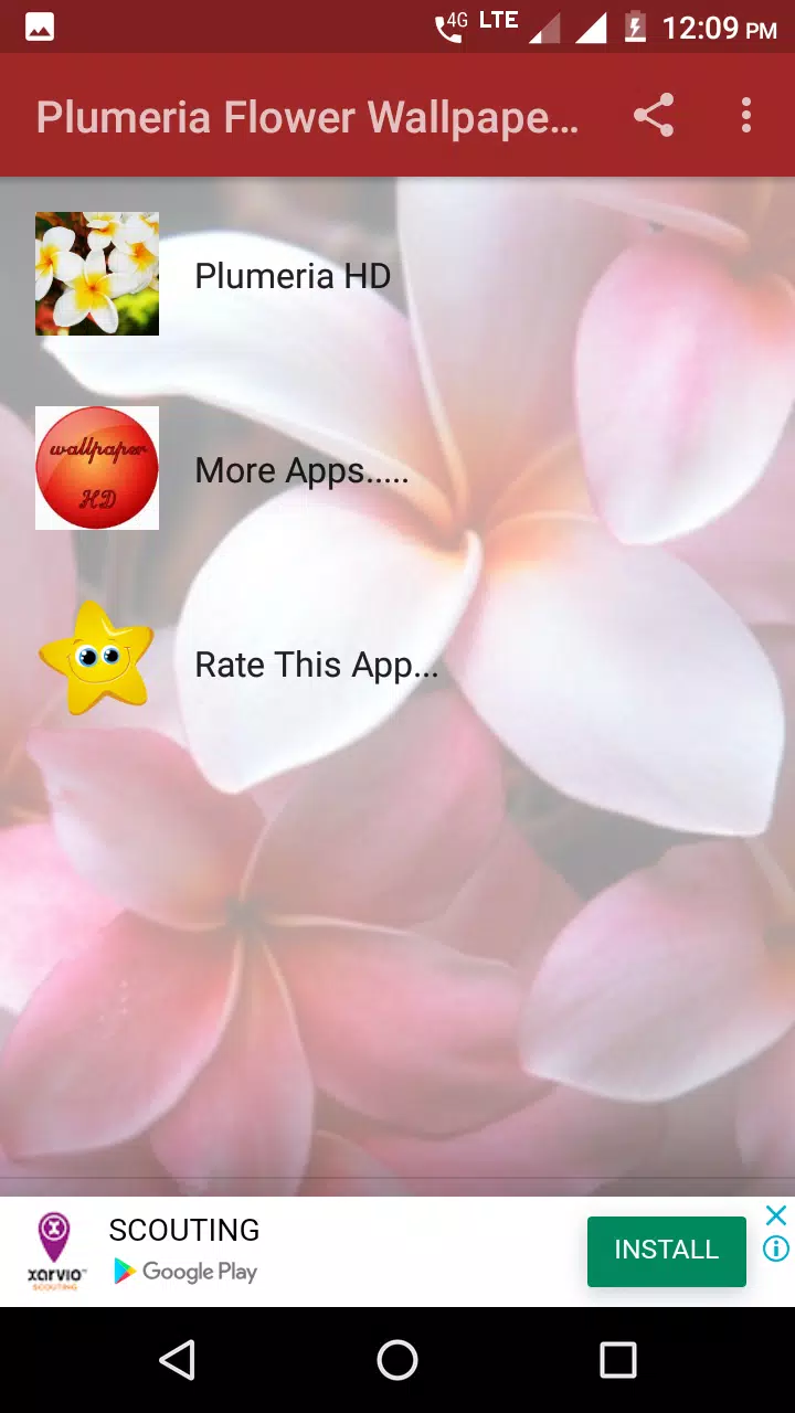 Plumeria Flower Wallpaper HD APK for Android Download Plumeria Flower Wallpaper HD APK for Android Download