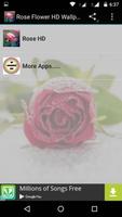 Rose Flower HD Wallpapers Affiche