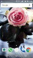 1 Schermata Rose Flower HD Wallpapers