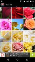 Rose Flower HD Wallpapers capture d'écran 2