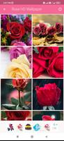 Rose HD Wallpaper screenshot 1
