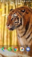 Tiger Wallpapers HD پوسٹر